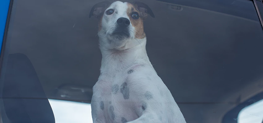 Car Lockout Solutions in Arcadia, California